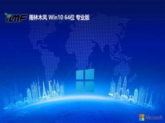 ����ľ��win10�ؿ쳬����64λv2026.06