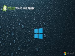 ��ײ�win10�޹�湲����64λv2026.06�⼤��